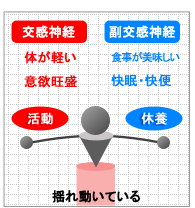 交感神経・副交感神経とエネルギー